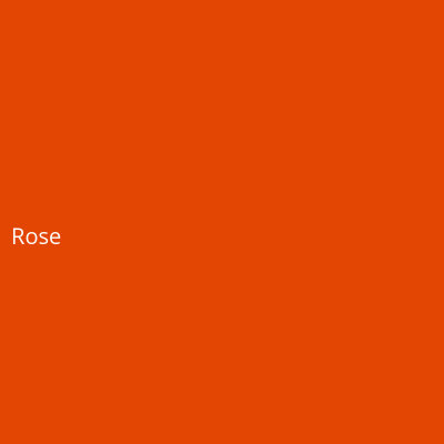 Rose