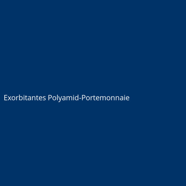 Exorbitant Polyamide Wallet