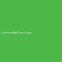 Geschmeidige Eisen-Zange