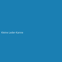 Kleine Leder-Kanne